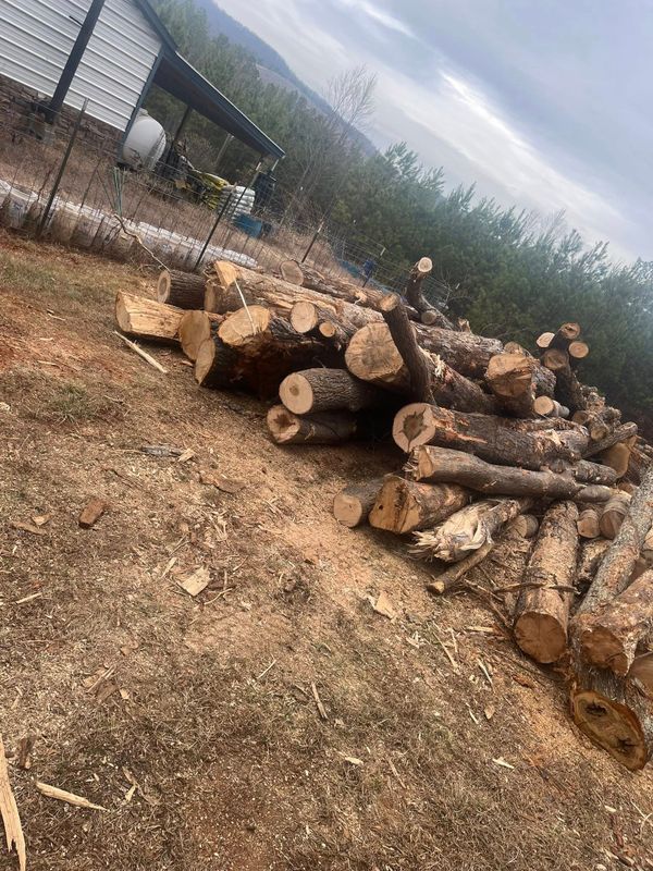 Firewood For Sale
