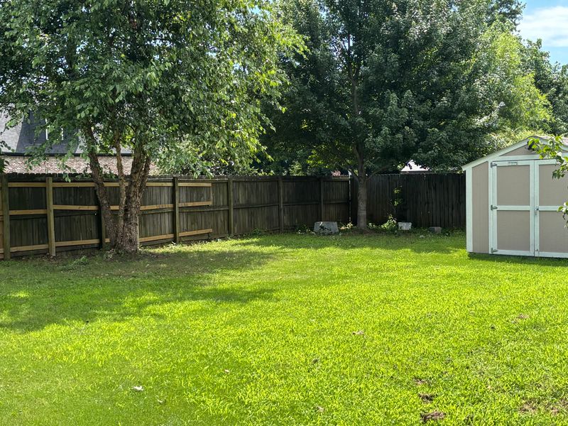 Lawn Maintenance