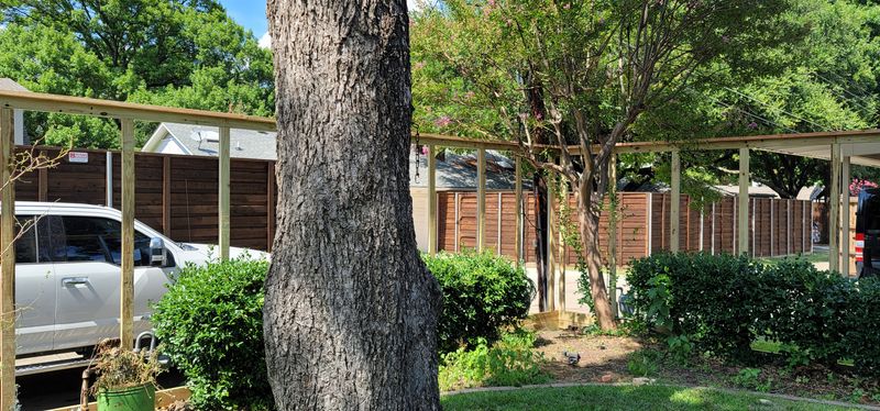 Fence Installation