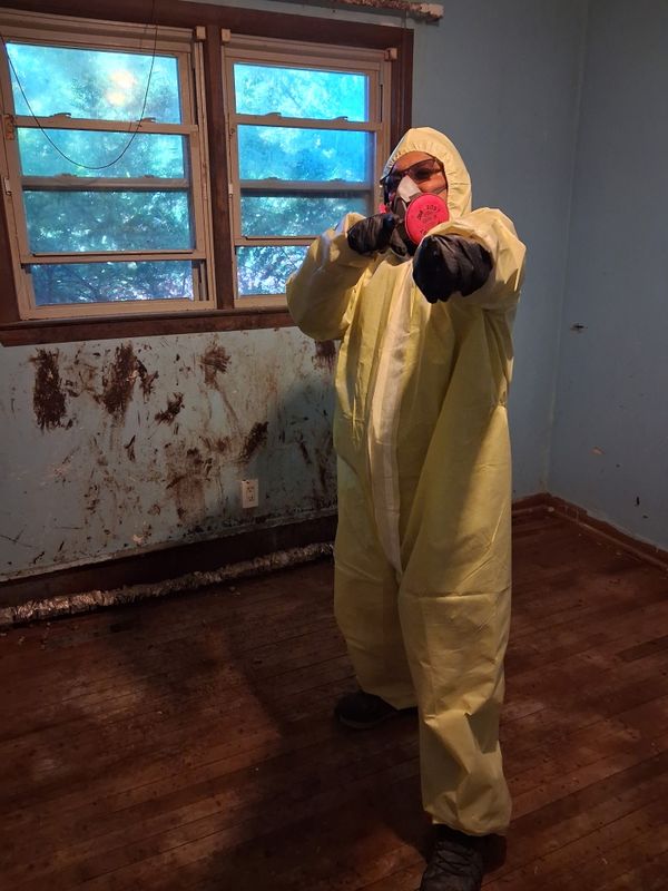 Move In / Move Out Cleaning