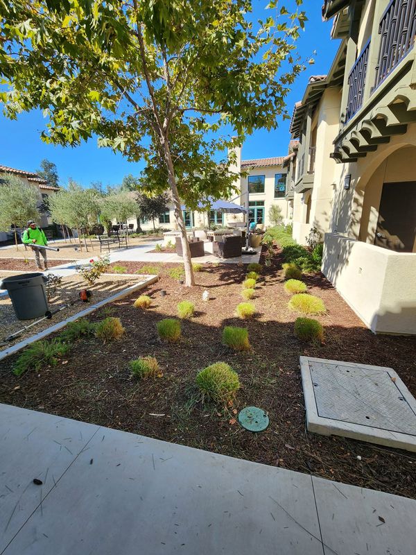 Landscape Design