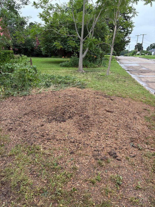 Stump Removal