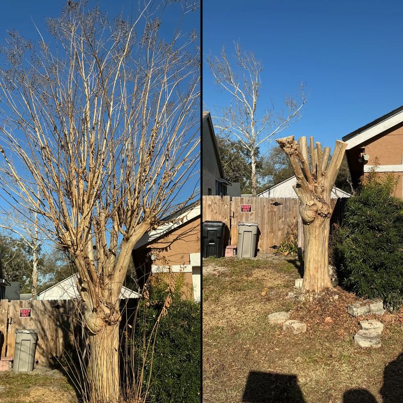 Tree Pruning