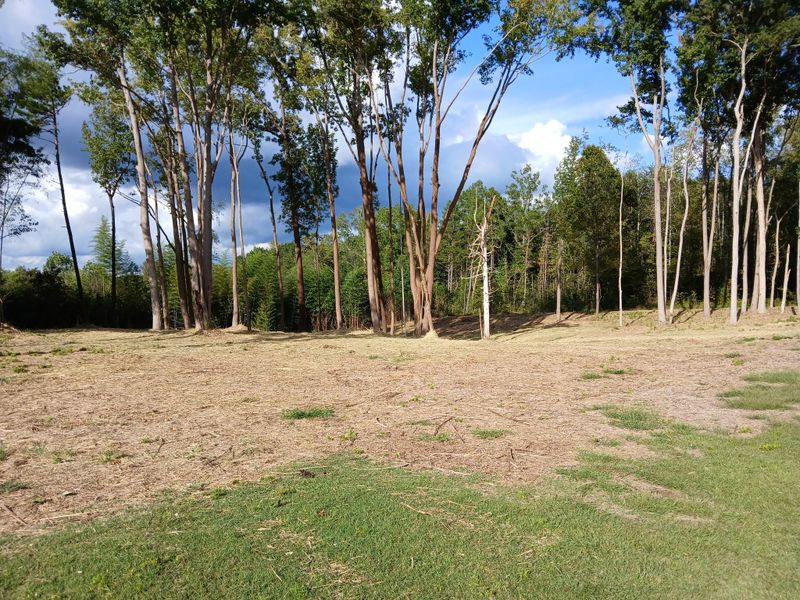 Forestry Mulching