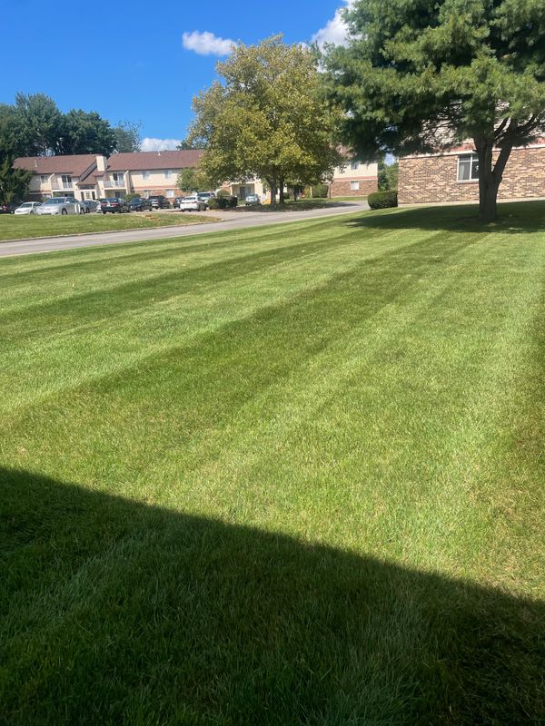 Mowing