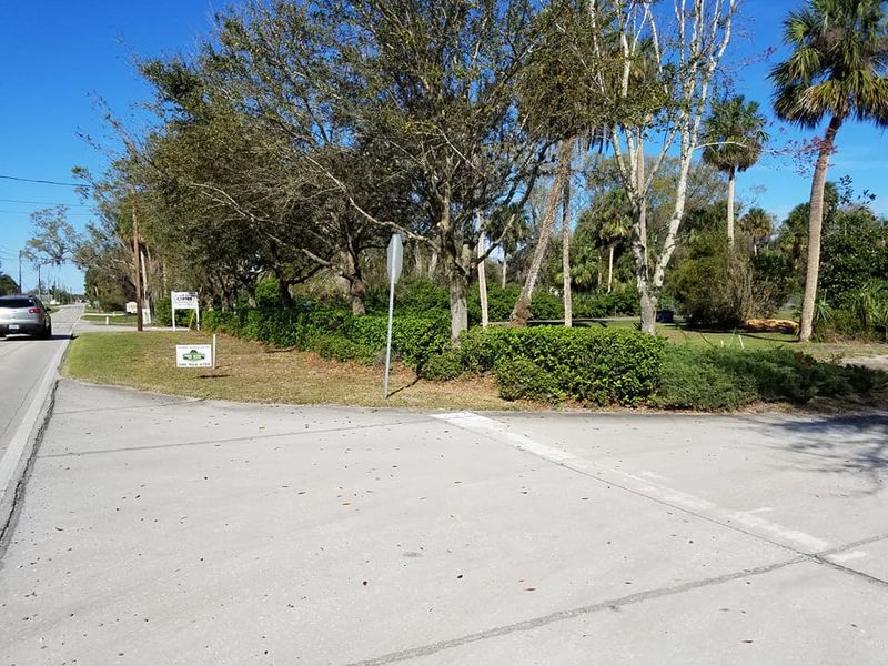 Tree Removal gallery