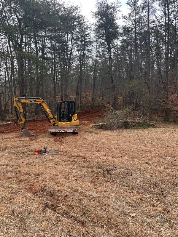 Land Clearing