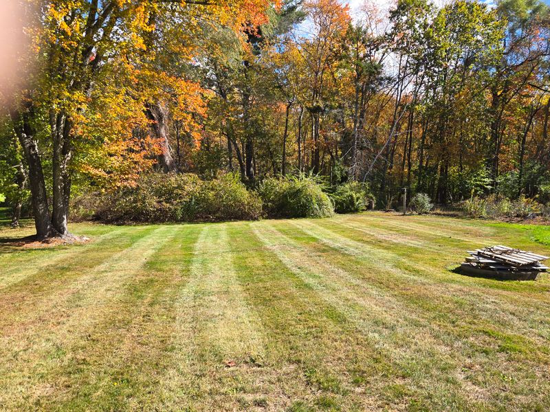 Lawn Care