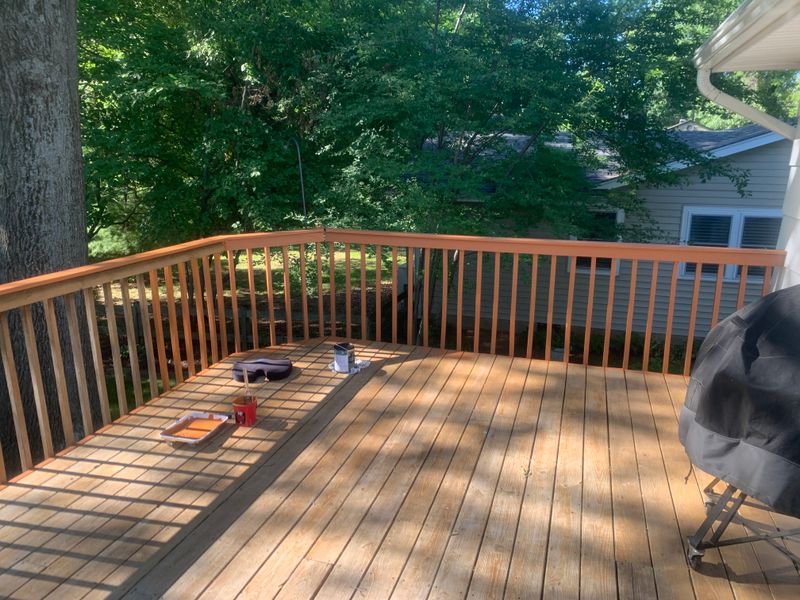 Deck and Fence Restoration
