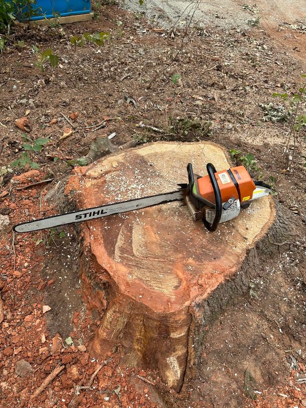 Land Clearing