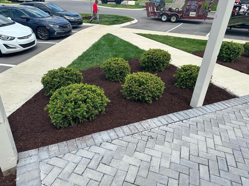 Shrub Trimming