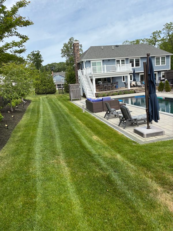 Lawn Maintenance