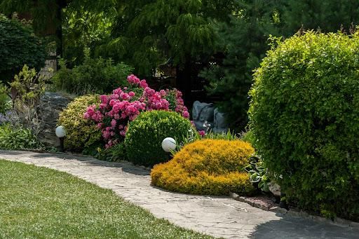 Landscape Design & Installation