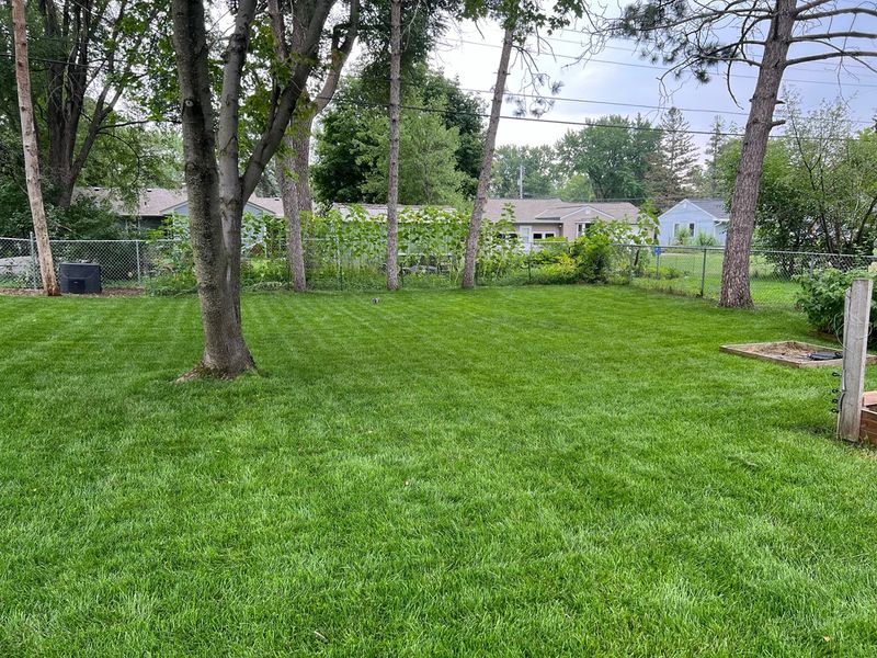 Lawn Maintenance