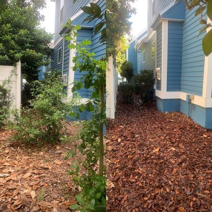Landscape Cleanup