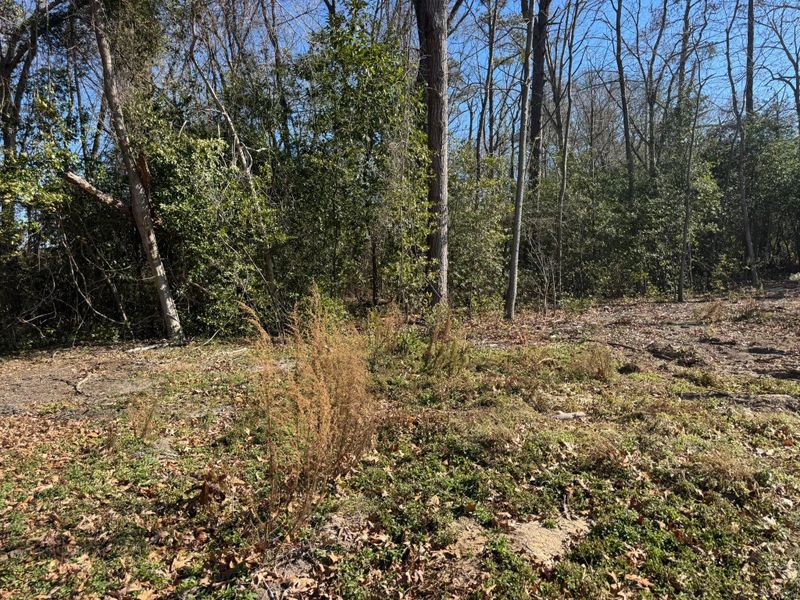 Land Clearing