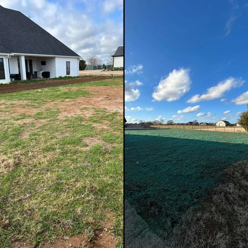 Hydroseeding gallery