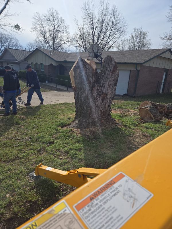 Tree Trimming