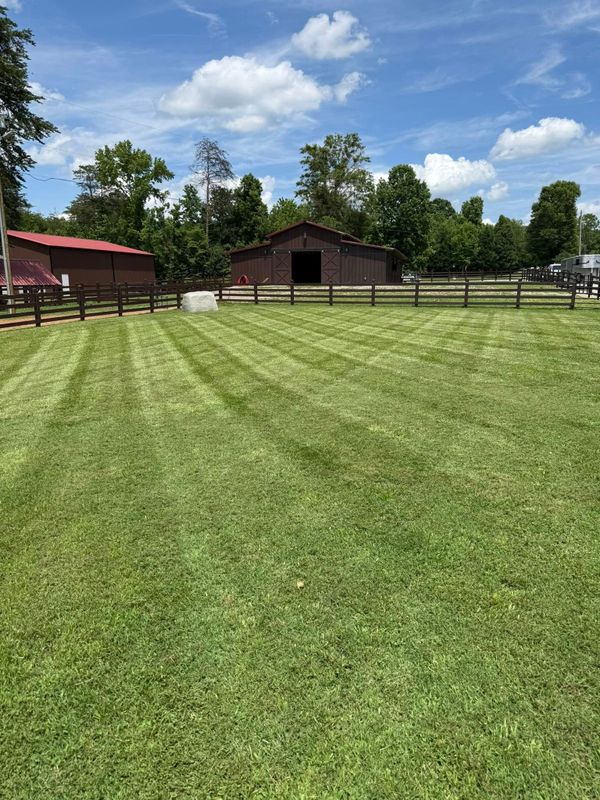 Mowing