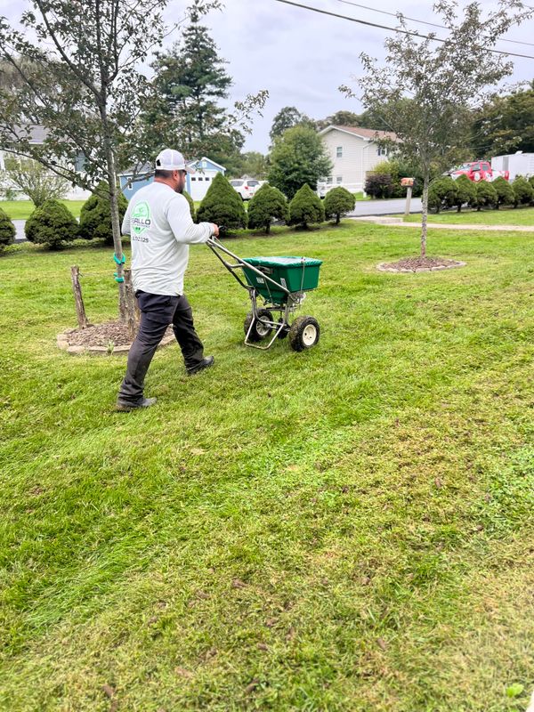 Aerating and overseeding