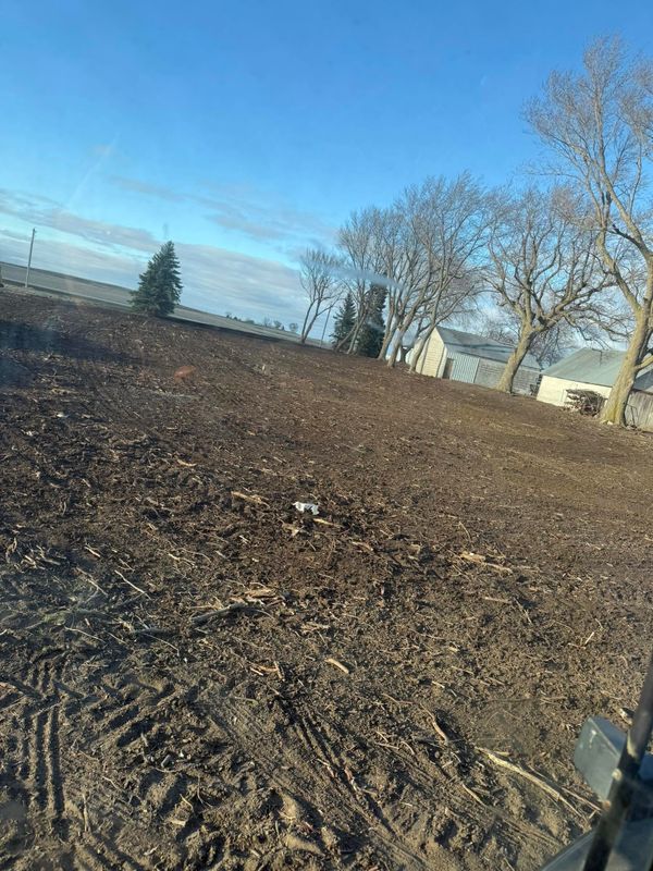Land Clearing