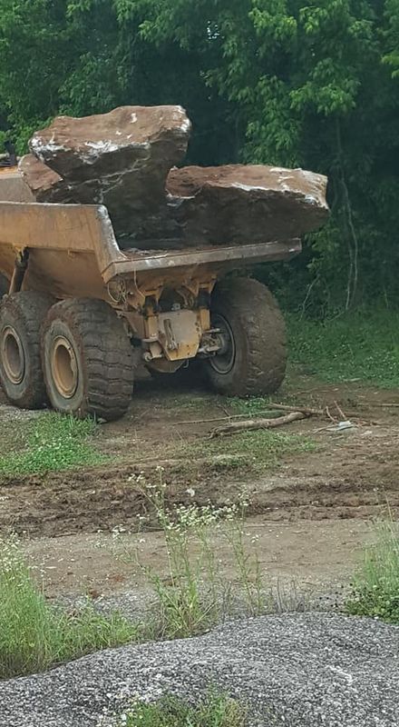Forestry Mulching