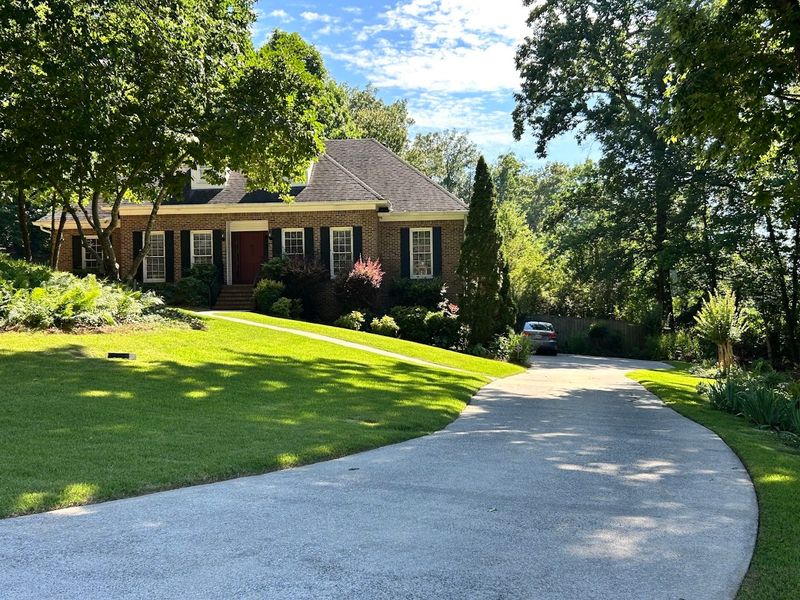 Tree and Shrub Care