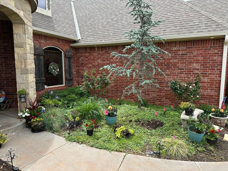 Fall and Spring Clean Up