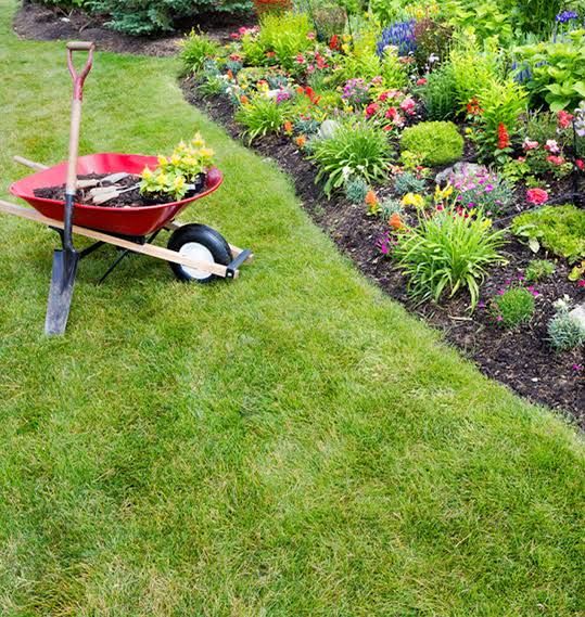 Yard Clean Ups