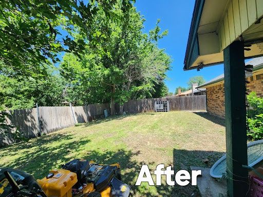 Lawn Mowing
