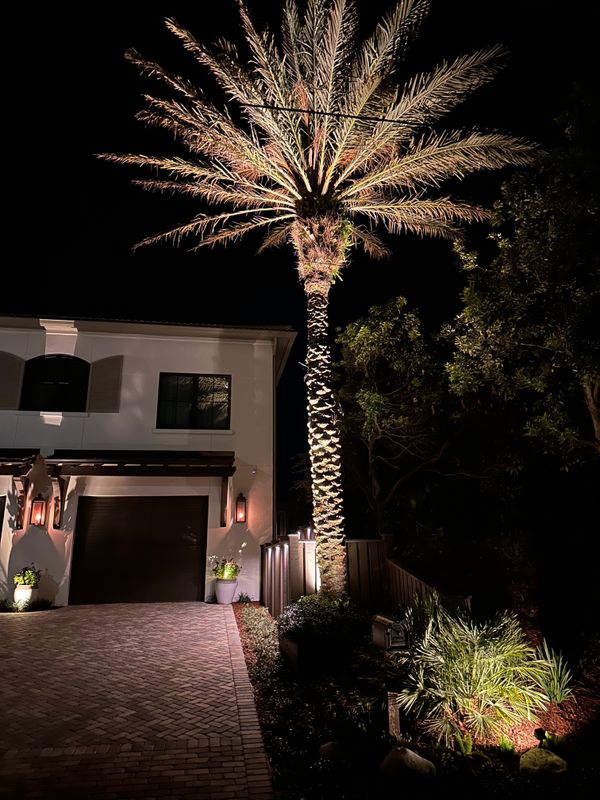 Landscape Lighting 