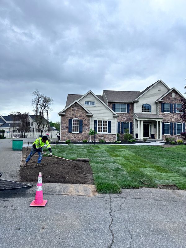 Sod Installation