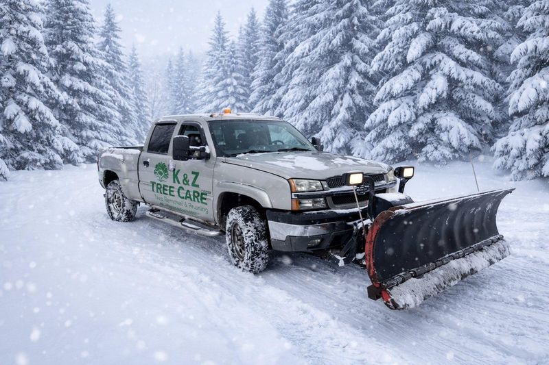 Snow Removal 