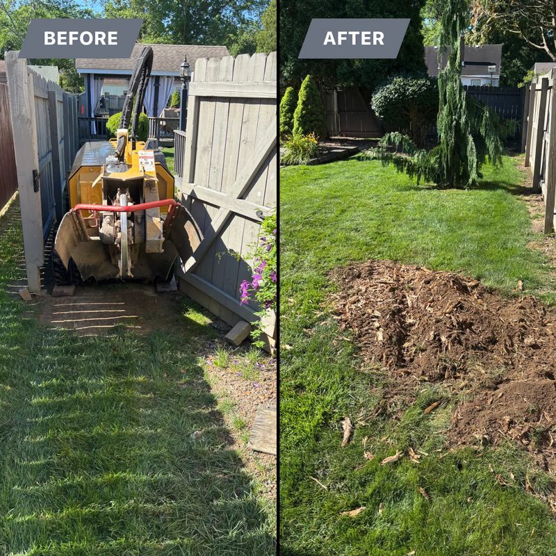 Stump Removal