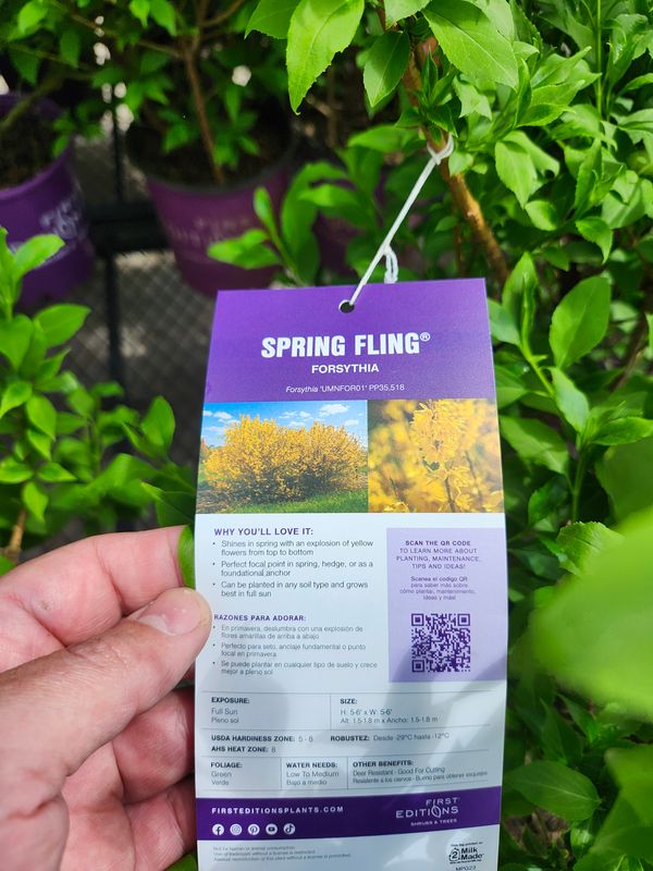 Flower & Tree Planting