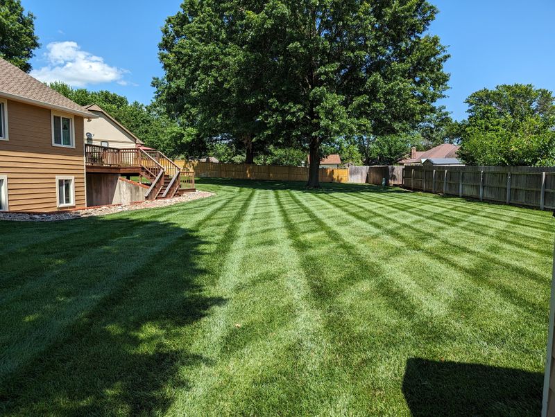 Lawn Care
