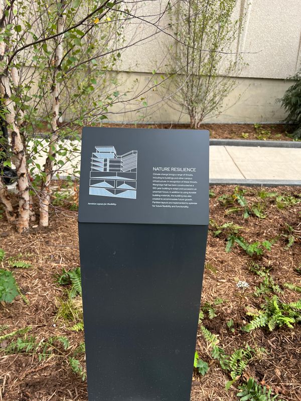Custom Sign Design