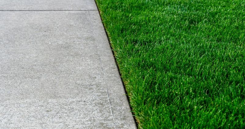 Hedge Trimming