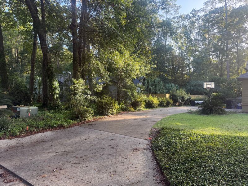 Landscape & Property Cleanup