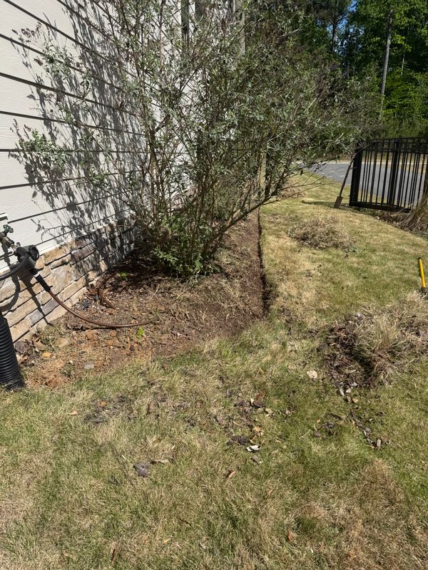 Pruning
