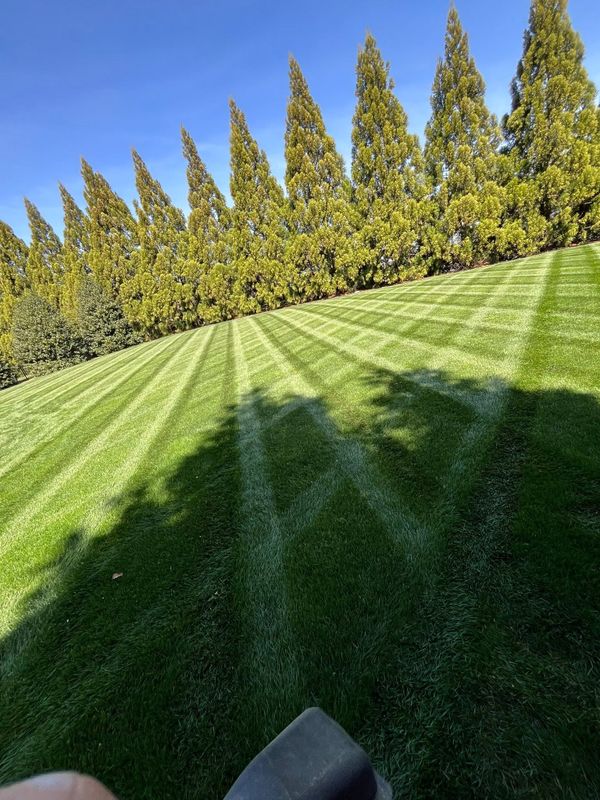 Garden Maintenance