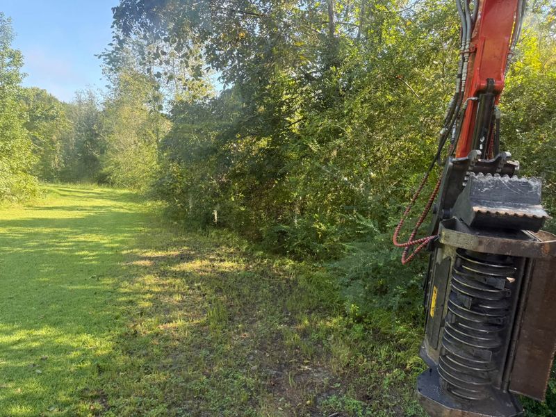 Land Clearing