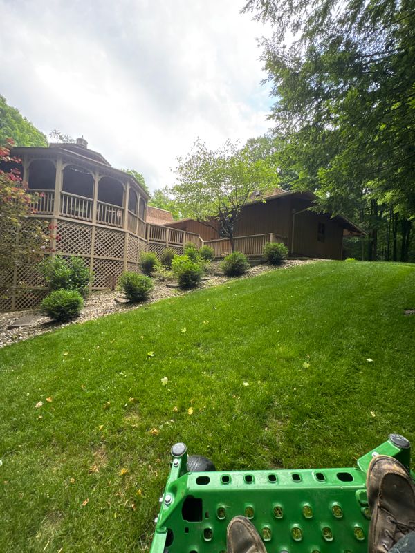 Lawn Maintenance