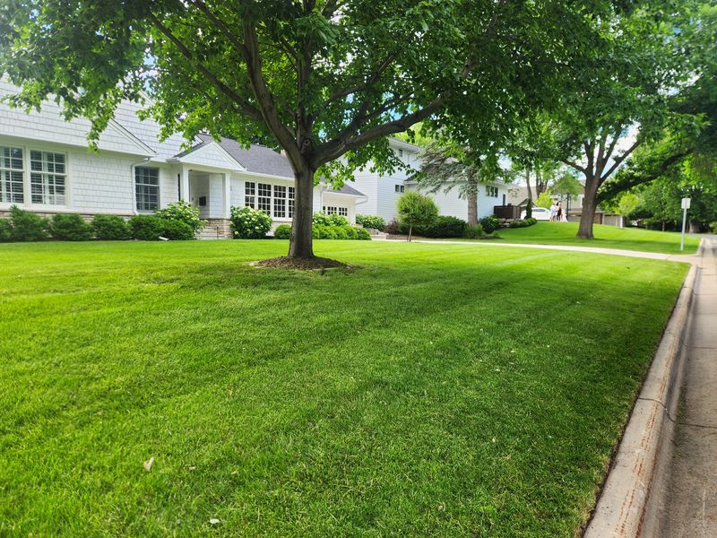 Mowing 