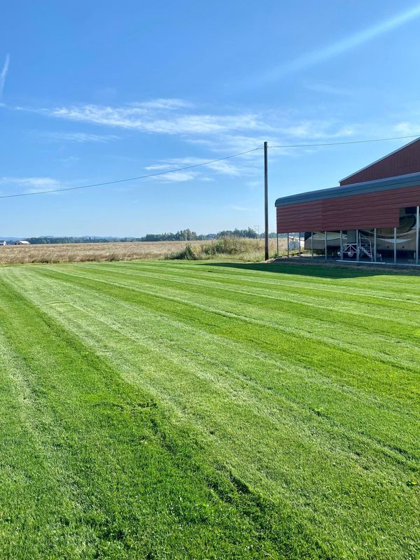 Lawn Maintenance