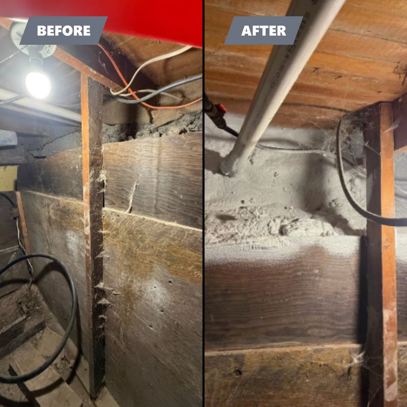 Crawl Space Transformation
