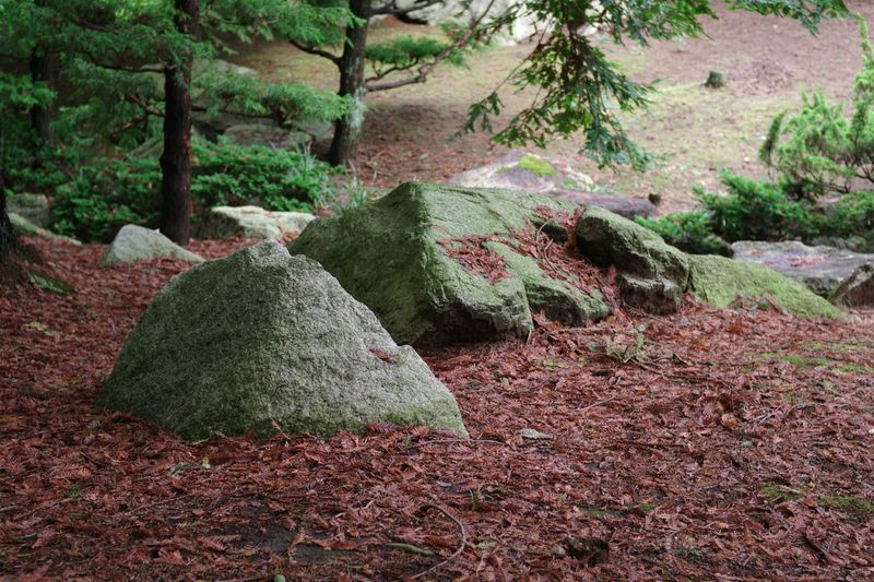 Mulch / Rock Installation