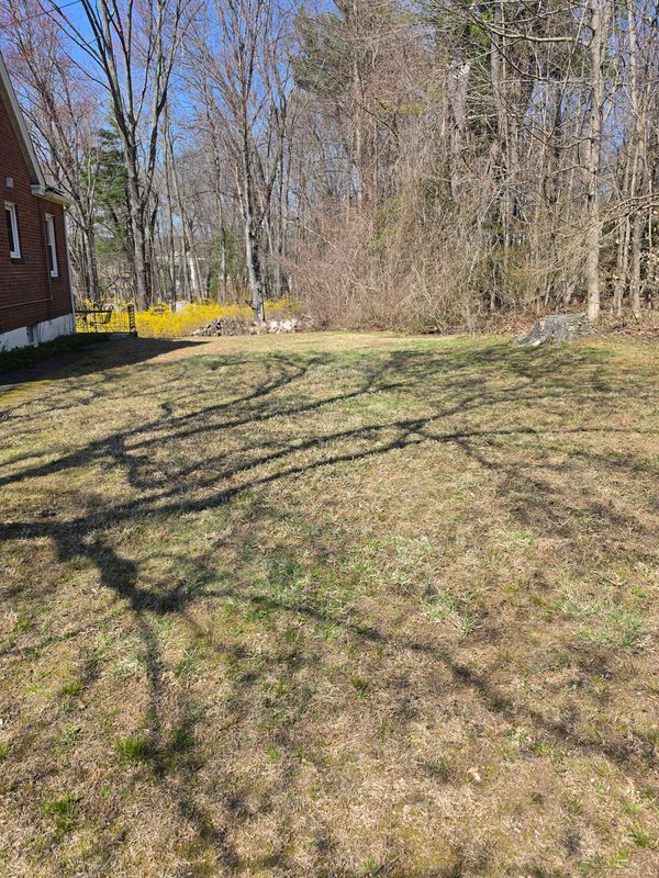 Spring & Fall Cleanups