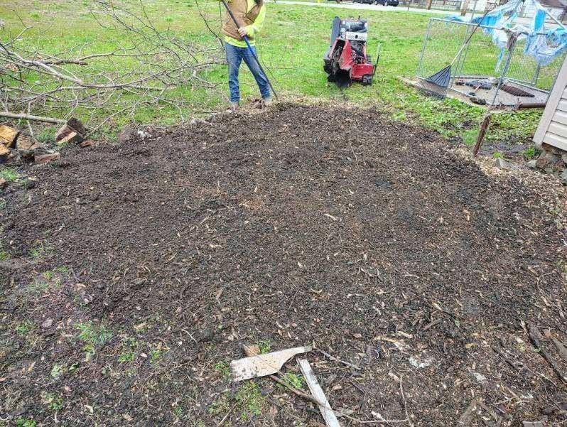 Seasonal Clean-ups