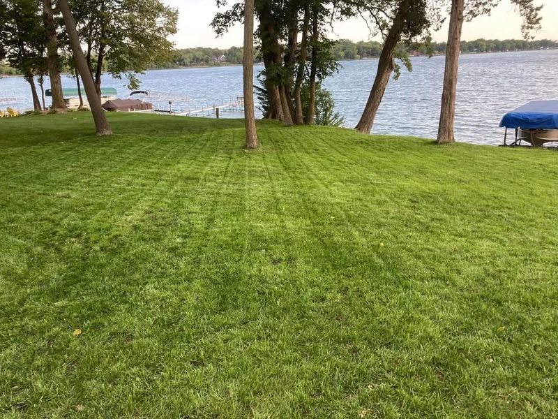 Erosion control / Hydroseeding gallery